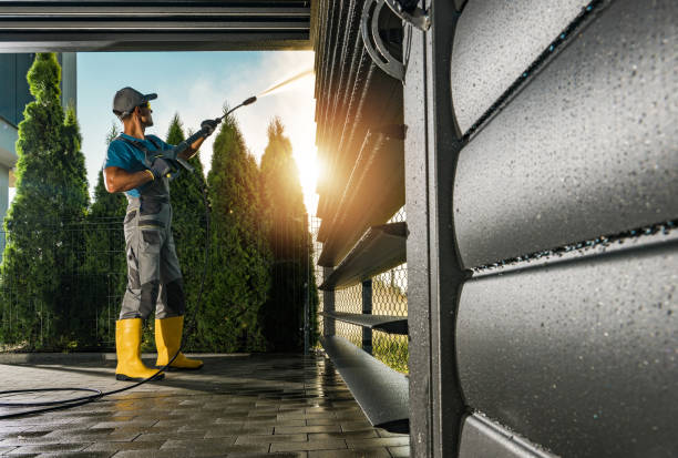 Best Dumpster Area Cleaning  in Pine Valley, CA